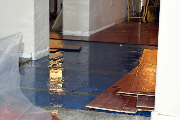 Professional Basement Flood Cleanup technician working in Ashley, MI