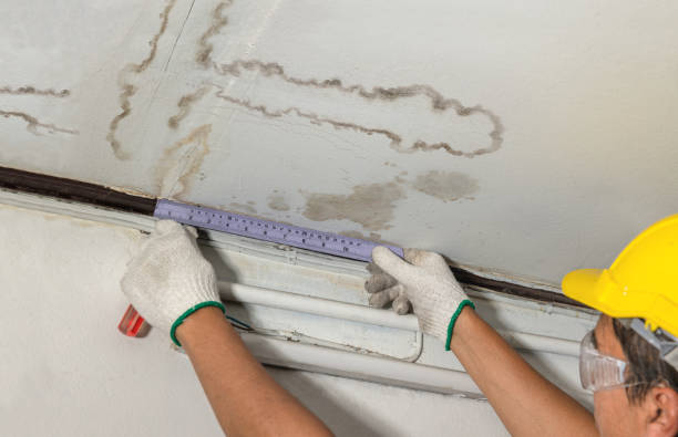 Reliable Basement Flood Cleanup contractor in Ashley, MI by Aqua Guard Water Damage